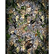 Komar Home Fototapete Wild Cats (B x H: 200 x 250 cm, Vlies) | BAUHAUS