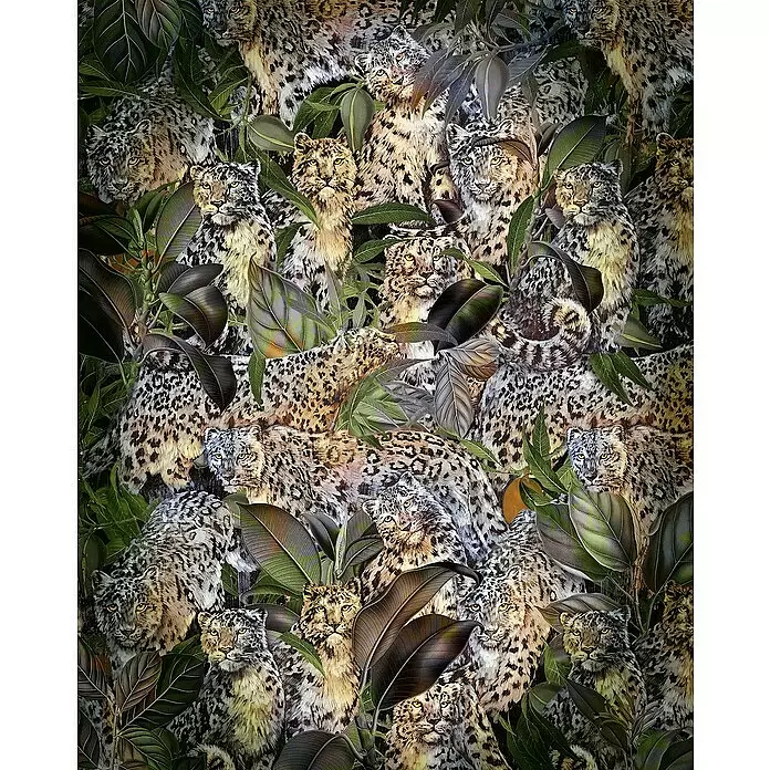 Komar Home Fototapete Wild Cats - B x H: 200 x 250 cm, Vlies - Lebhaftes Muster aus mehreren Leoparden und Schneeleoparden, getarnt in dichtem dunkelgrünem Tropenlaub. Helle gelbe Augen blicken durch die Blätter.