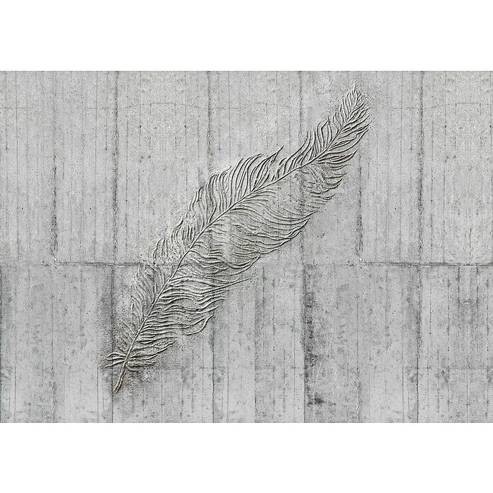 Komar Home B Concrete -tlg., BAUHAUS Vlies) x 250 350 Fototapete (7 cm, x | Feather H