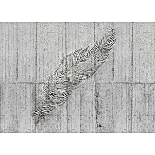 Komar Home Fototapete Concrete Feather (7 -tlg., B x H: 350 x 250 cm, Vlies)