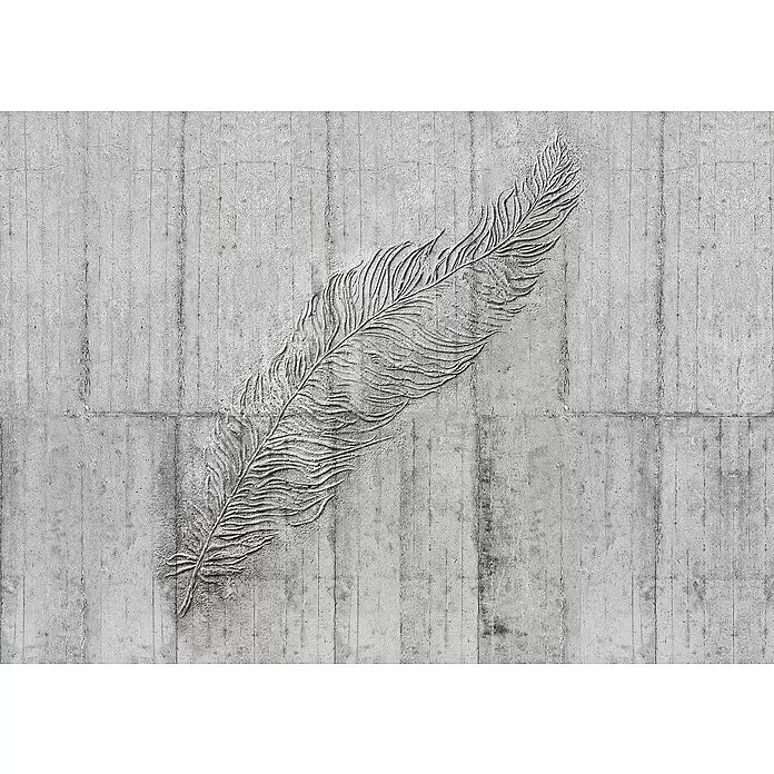 Komar Home Fototapete Concrete Feather - 7 -tlg., B x H: 350 x 250 cm, Vlies - Detailliertes Federrelief in eine graue Betonwand gemeißelt, mit komplexen Texturen und natürlichen Linien.