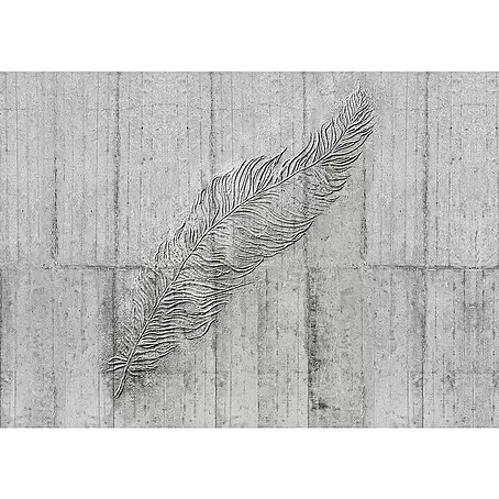 Komar Home Fototapete Concrete Feather