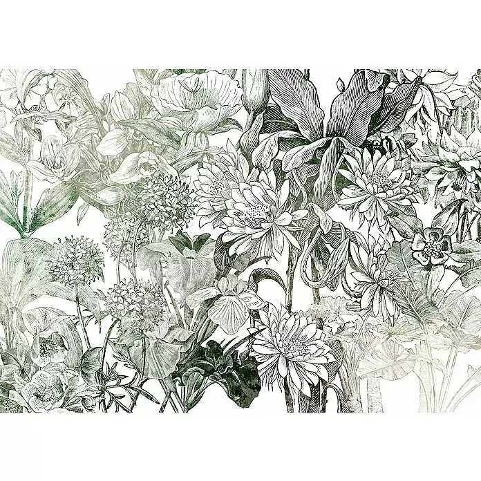 Komar Home Fototapete Valerie - 7 -tlg., B x H: 350 x 250 cm, Vlies - Grünes botanisches Muster mit detaillierten Linienzeichnungen verschiedener Blumen und Blätter.