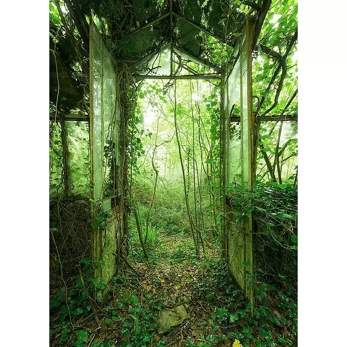 Komar Stefan Hefele Edition 2 Fototapete Greenhouse - 4 -tlg., B x H: 200 x 280 cm, Vlies - Detailaufnahme