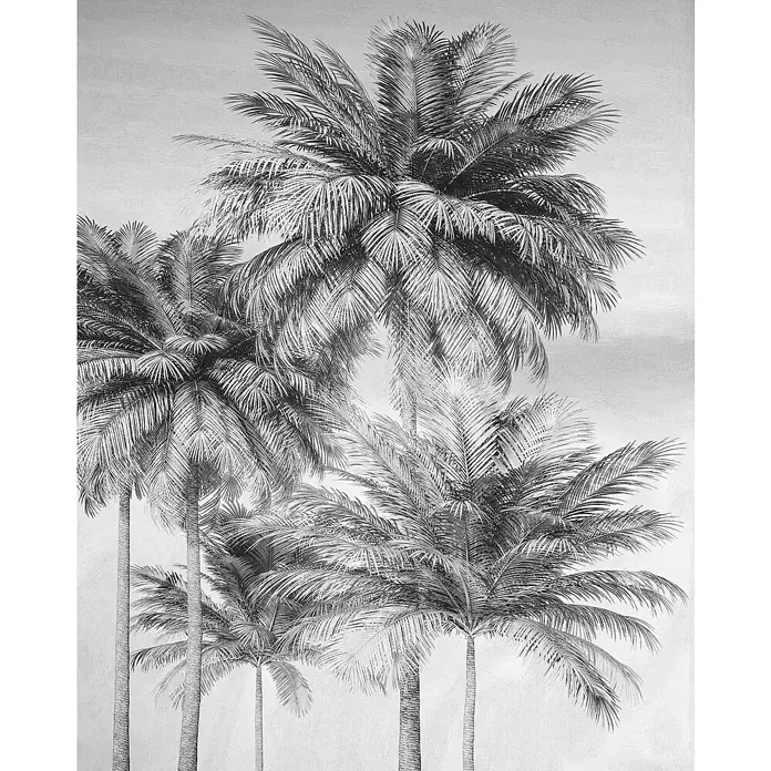 Komar Home Fototapete Cocco4 -tlg., B x H: 200 x 250 cm, Vlies - Schwarz-Weiß-Bild von Palmen mit detaillierten Blättern, die eine ruhige tropische Atmosphäre ausstrahlen. Ideal für einen Hauch Natur.