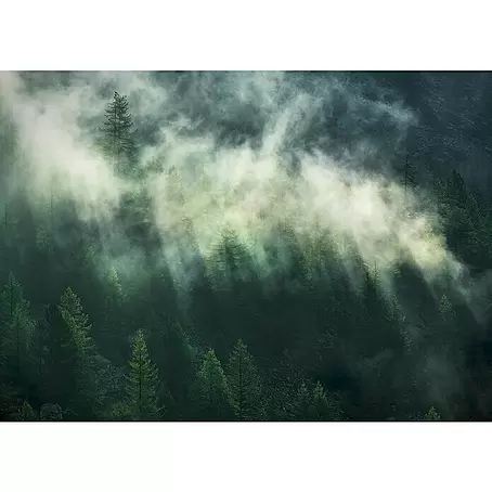 Komar Home Fototapete Misty Crowns