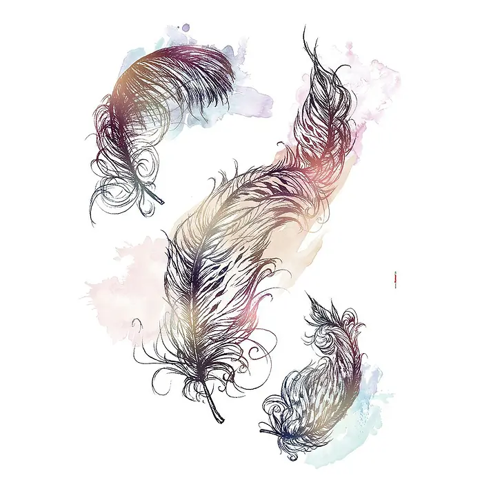 Komar Dekosticker Inspiration - 3 -tlg., 70 x 50 cm - Abbildung von Federn, die an ein Aquarell erinnern, das für zarte, künstlerische Produkte geeignet ist.