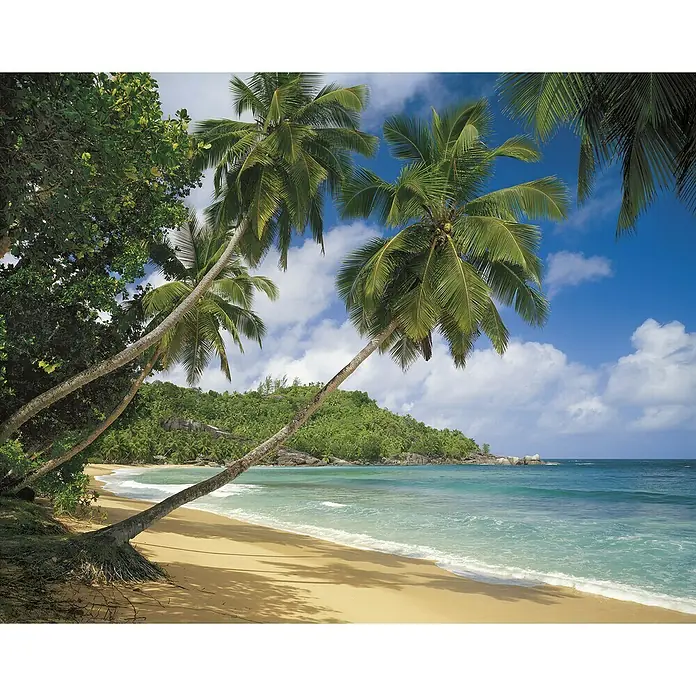 Komar Home Fototapete Tropical Sea8 -tlg., B x H: 368 x 254 cm, Papier - Exotische Strandkulisse mit Palmen, goldenem Sand und türkisfarbenem Meer unter einem blau-weißen Himmel. Tropisches Paradies pur.