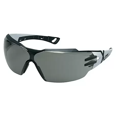 Uvex  Schutzbrille Pheos CX2